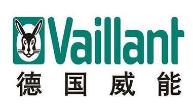 vaillantܵԴþS vaillantܵԴۺ vaillantܵԴۺ(w)